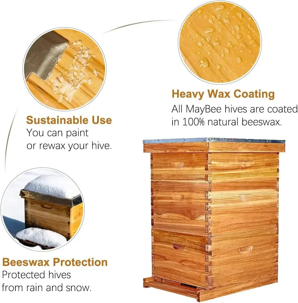 Outdoor Furniture In Sale - [Discounted Price, Hot Sale!]10-Frame Langstroth Beehive