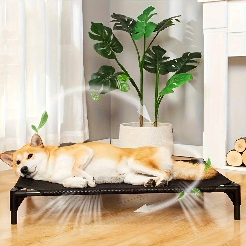 Cooling Elevated Dog Bed - Rai - Outdoor Daybed Sofa 리뷰 및 가격