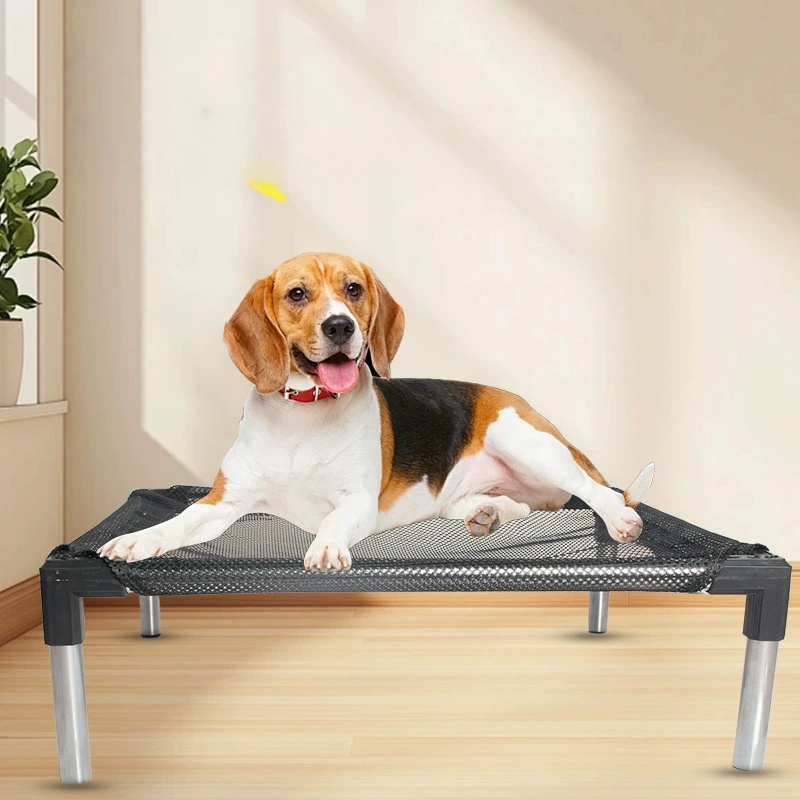 Cooling Elevated Dog Bed - Rai - Outdoor Daybed Sofa 리뷰 및 가격